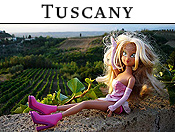 davidjdiamant.com - Tuscany