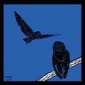 Owls #2 (blue)