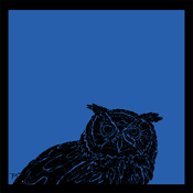 Owls #4 (blue)