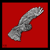 Owls #5 (red)