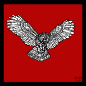 Owls #7 (red)