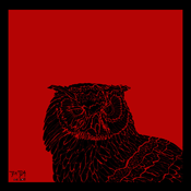 Owls #11 (red)