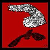 Owls #13 (red)